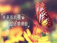 南京墨丘利家居有限公司