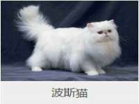 南京墨丘利家居有限公司