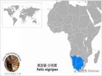 南京墨丘利家居有限公司