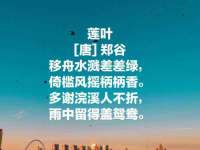南京墨丘利家居有限公司