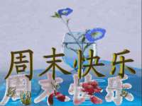 南京墨丘利家居有限公司