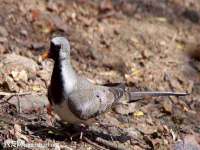 南京墨丘利家居有限公司