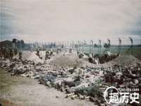 南京墨丘利家居有限公司