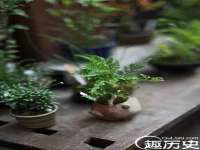 南京墨丘利家居有限公司