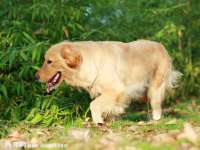 南京墨丘利家居有限公司