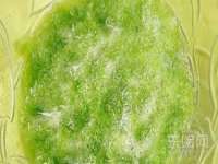 南京墨丘利家居有限公司