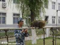 南京墨丘利家居有限公司
