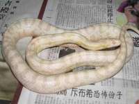 南京墨丘利家居有限公司