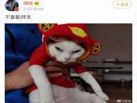 南京墨丘利家居有限公司
